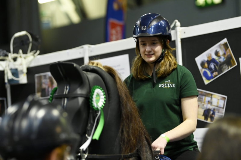 national equine show