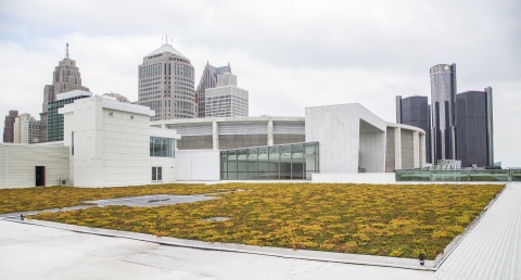 Cobo Center's Living Green Roof